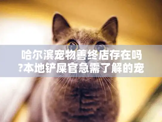 哈尔滨宠物善终店存在吗?本地铲屎官急需了解的宠物殡葬服务指南 哈尔滨宠物善终店存在吗?本地铲屎官急需了解的宠物殡葬服务指南