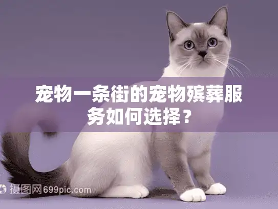 宠物一条街的宠物殡葬服务如何选择？