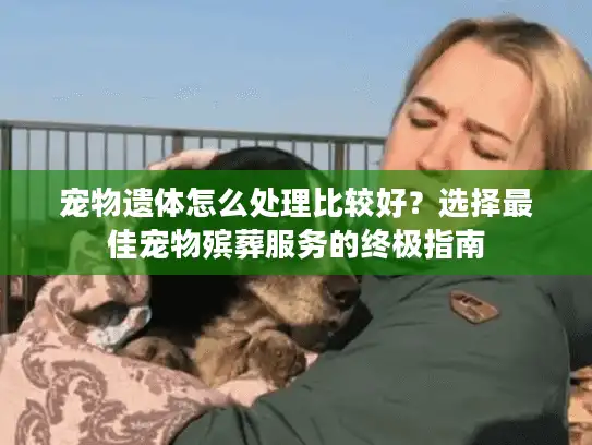 宠物遗体怎么处理比较好？选择最佳宠物殡葬服务的终极指南