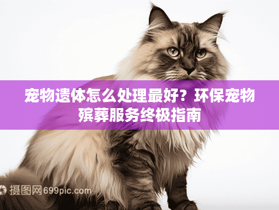 宠物遗体怎么处理最好？环保宠物殡葬服务终极指南