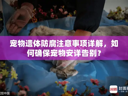 宠物遗体防腐注意事项详解，如何确保宠物安详告别？