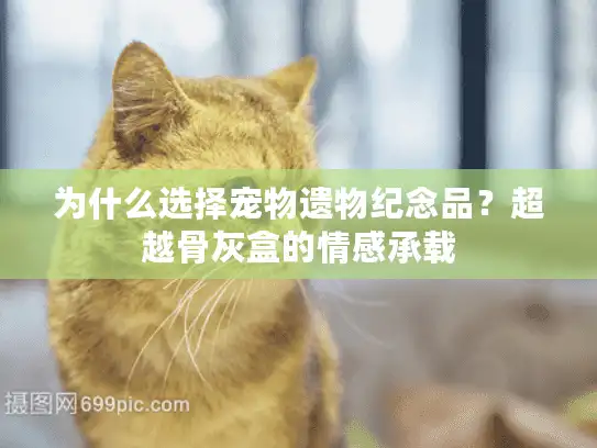 为什么选择宠物遗物纪念品？超越骨灰盒的情感承载