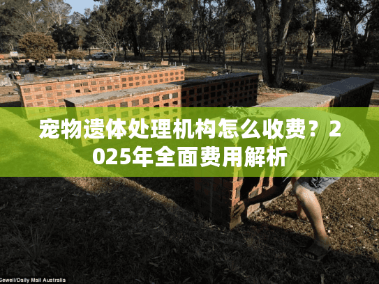 宠物遗体处理机构怎么收费？2025年全面费用解析