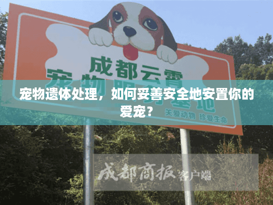 宠物遗体处理,如何妥善安全地安置你的爱宠? 宠物遗体处理,如何妥善安全地安置你的爱宠?