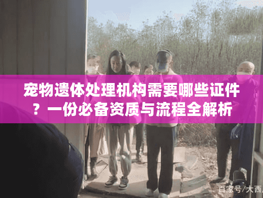 宠物遗体处理机构需要哪些证件？一份必备资质与流程全解析