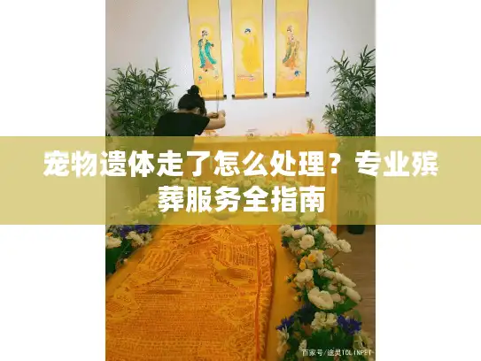 宠物遗体走了怎么处理？专业殡葬服务全指南