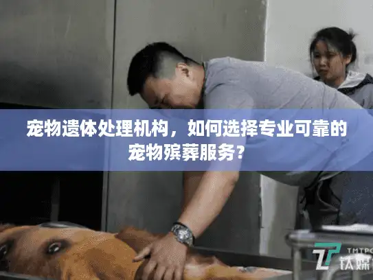 宠物遗体处理机构,如何选择专业可靠的宠物殡葬服务? 宠物遗体处理机构,如何选择专业可靠的宠物殡葬服务?