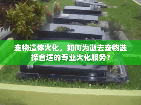 宠物遗体火化，如何为逝去宠物选择合适的专业火化服务？