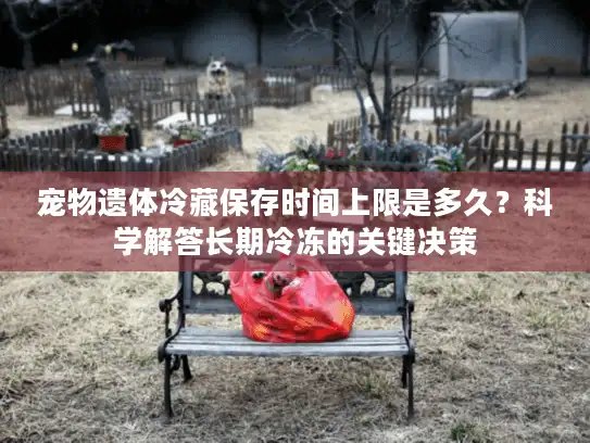 宠物遗体冷藏保存时间上限是多久？科学解答长期冷冻的关键决策