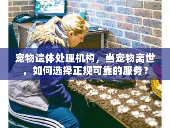 宠物遗体处理机构，当宠物离世，如何选择正规可靠的服务？