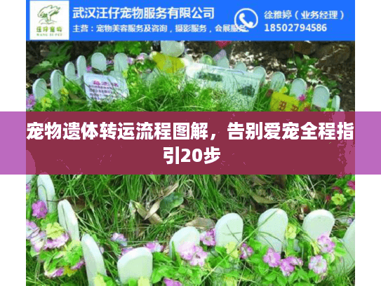 宠物遗体转运流程图解,告别爱宠全程指引20步 宠物遗体转运流程图解,告别爱宠全程指引20步
