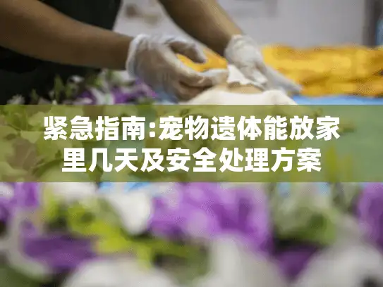 紧急指南:宠物遗体能放家里几天及安全处理方案 紧急指南:宠物遗体能放家里几天及安全处理方案