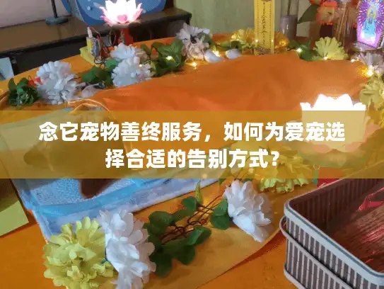 念它宠物善终服务,如何为爱宠选择合适的告别方式? 念它宠物善终服务,如何为爱宠选择合适的告别方式?