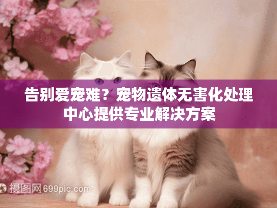 告别爱宠难？宠物遗体无害化处理中心提供专业解决方案