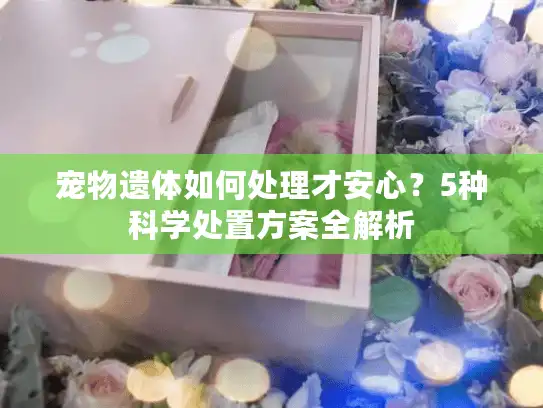 宠物遗体如何处理才安心？5种科学处置方案全解析