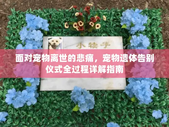 面对宠物离世的悲痛,宠物遗体告别仪式全过程详解指南 面对宠物离世的悲痛,宠物遗体告别仪式全过程详解指南