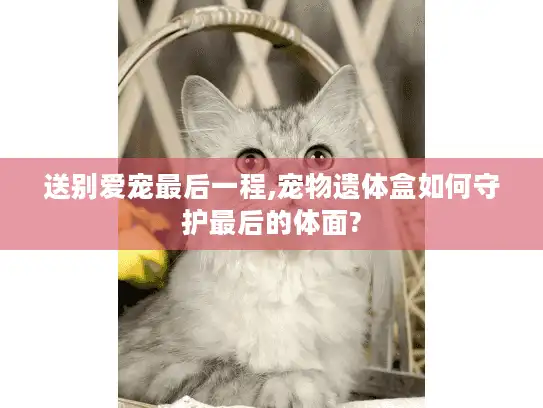 送别爱宠最后一程,宠物遗体盒如何守护最后的体面?