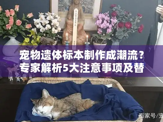 宠物遗体标本制作成潮流？专家解析5大注意事项及替代方案