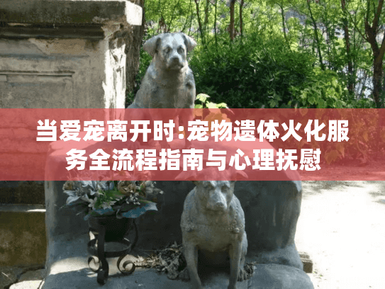 当爱宠离开时:宠物遗体火化服务全流程指南与心理抚慰