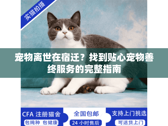 宠物离世在宿迁?找到贴心宠物善终服务的完整指南 宠物离世在宿迁?找到贴心宠物善终服务的完整指南