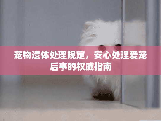 宠物遗体处理规定，安心处理爱宠后事的权威指南
