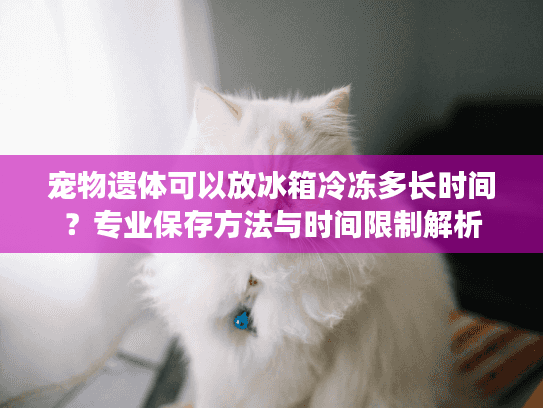 宠物遗体可以放冰箱冷冻多长时间？专业保存方法与时间限制解析
