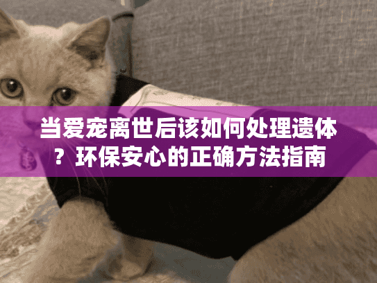 当爱宠离世后该如何处理遗体?环保安心的正确方法指南 当爱宠离世后该如何处理遗体?环保安心的正确方法指南