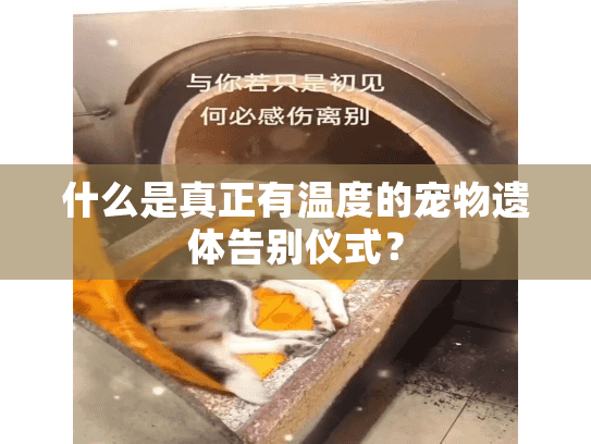 什么是真正有温度的宠物遗体告别仪式？