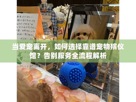当爱宠离开，如何选择靠谱宠物殡仪馆？告别服务全流程解析