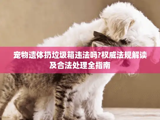 宠物遗体扔垃圾箱违法吗?权威法规解读及合法处理全指南 宠物遗体扔垃圾箱违法吗?权威法规解读及合法处理全指南