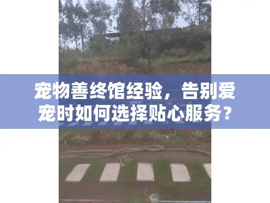 宠物善终馆经验，告别爱宠时如何选择贴心服务？