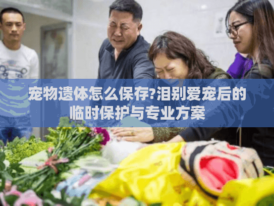 宠物遗体怎么保存?泪别爱宠后的临时保护与专业方案 宠物遗体怎么保存?泪别爱宠后的临时保护与专业方案