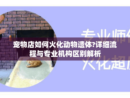 宠物店如何火化动物遗体?详细流程与专业机构区别解析