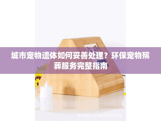 城市宠物遗体如何妥善处理?环保宠物殡葬服务完整指南 城市宠物遗体如何妥善处理?环保宠物殡葬服务完整指南