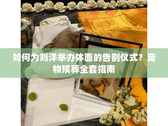 如何为刘洋举办体面的告别仪式?宠物殡葬全套指南 如何为刘洋举办体面的告别仪式?宠物殡葬全套指南