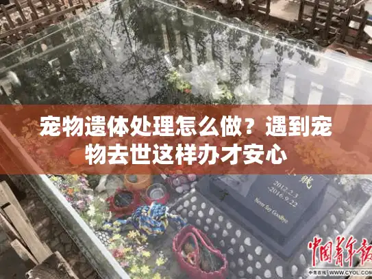 宠物遗体处理怎么做?遇到宠物去世这样办才安心 宠物遗体处理怎么做?遇到宠物去世这样办才安心
