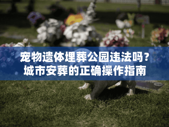 宠物遗体埋葬公园违法吗？城市安葬的正确操作指南
