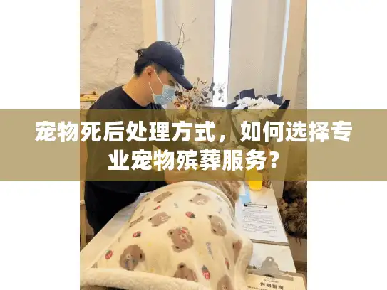 宠物死后处理方式，如何选择专业宠物殡葬服务？