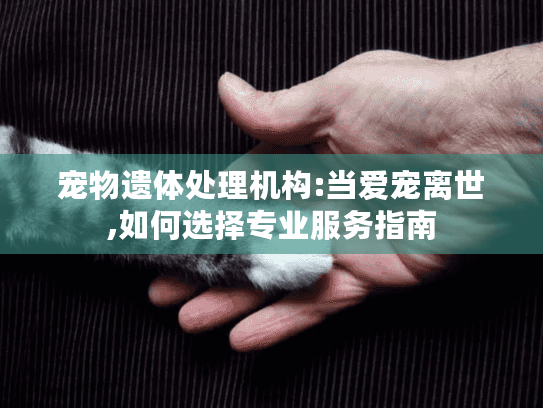 宠物遗体处理机构:当爱宠离世,如何选择专业服务指南