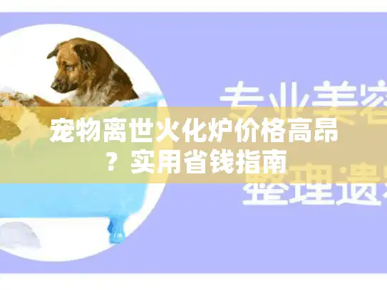 宠物离世火化炉价格高昂？实用省钱指南