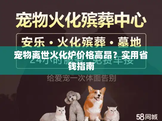 宠物离世火化炉价格高昂？实用省钱指南