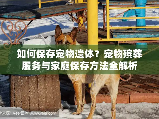 如何保存宠物遗体？宠物殡葬服务与家庭保存方法全解析