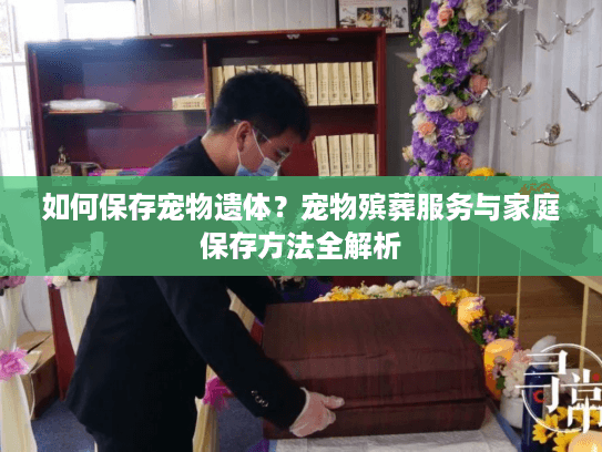 如何保存宠物遗体？宠物殡葬服务与家庭保存方法全解析