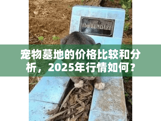 宠物墓地的价格比较和分析，2025年行情如何？