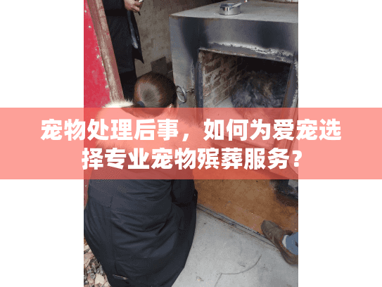 宠物处理后事,如何为爱宠选择专业宠物殡葬服务? 宠物处理后事,如何为爱宠选择专业宠物殡葬服务?