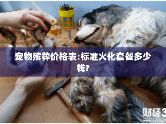 宠物殡葬价格表:标准火化套餐多少钱?