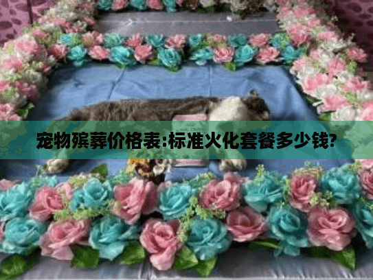 宠物殡葬价格表:标准火化套餐多少钱?