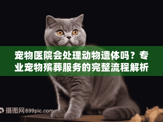宠物医院会处理动物遗体吗?专业宠物殡葬服务的完整流程解析 宠物医院会处理动物遗体吗?专业宠物殡葬服务的完整流程解析
