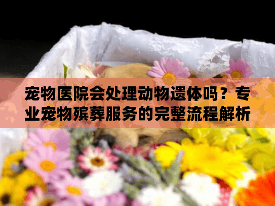 宠物医院会处理动物遗体吗?专业宠物殡葬服务的完整流程解析 宠物医院会处理动物遗体吗?专业宠物殡葬服务的完整流程解析