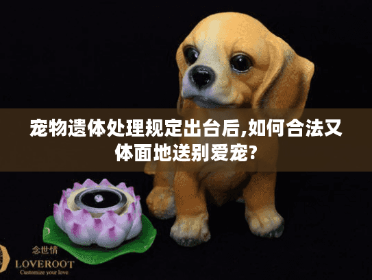宠物遗体处理规定出台后,如何合法又体面地送别爱宠? 宠物遗体处理规定出台后,如何合法又体面地送别爱宠?
